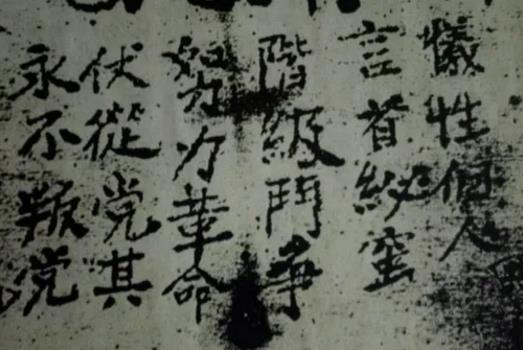 迎百年 学党史 · 红都瑞金篇⑥ | 红星照耀苏区——中央苏区党的建设(图3) 迎百年 学党史 · 红都瑞金篇⑥ | 红星照耀苏区——中央苏区党的建设(图3)