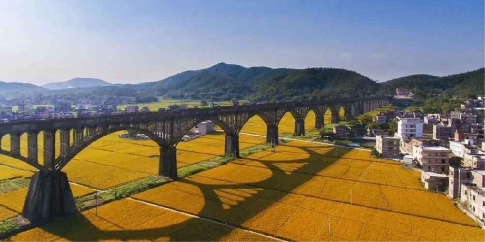157处！广东再增20处爱国主义教育基地，“红色学堂”遍南粤