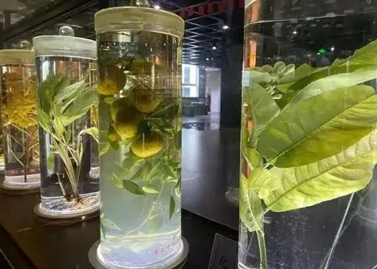 微信图片_20240104154643.jpg