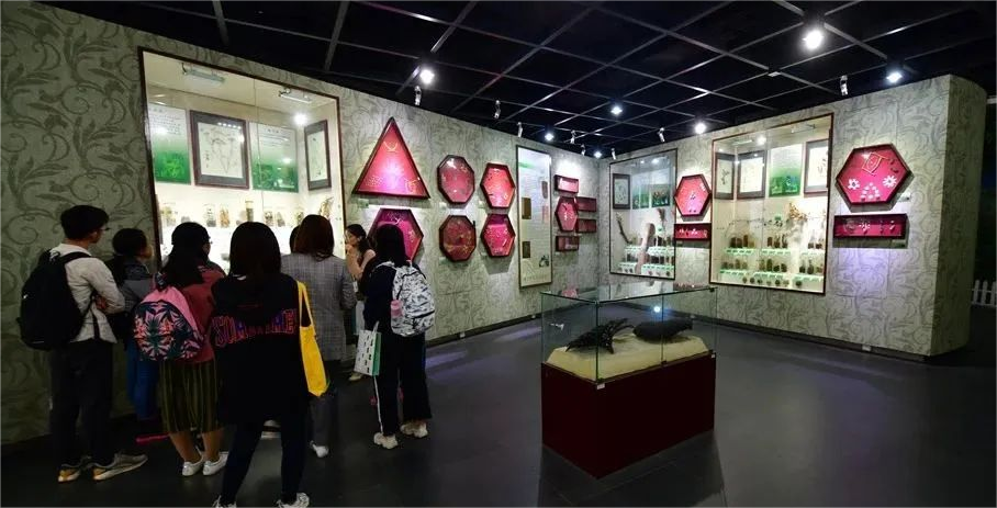 红色学堂“燃”起来 | 广东爱国主义教育基地推荐：广州篇（四）