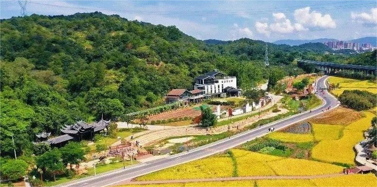 2024年中央一号文重磅发布，要求学习运用“千万工程”经验