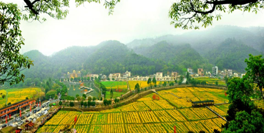 竞跑“百千万” 奏响新“粤”章 | “百千万工程”首批典型村巡礼(九) : 广州花都篇(1)