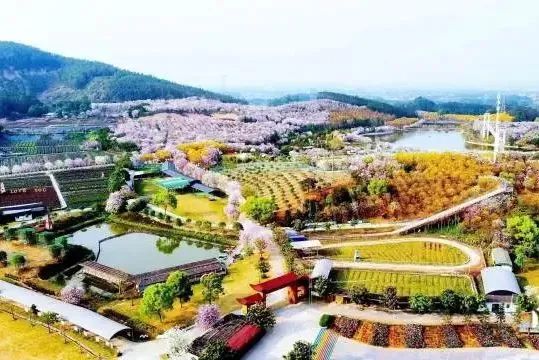 微信图片_20241202164005.jpg