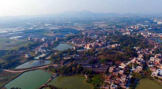 竞跑“百千万” 奏响新“粤”章 | “百千万工程”首批典型村巡礼(十) : 广州花都篇(2)