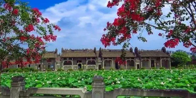 竞跑“百千万” 奏响新“粤”章 | “百千万工程”首批典型村巡礼(十二) : 广州花都篇(4)