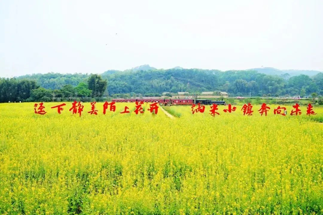 微信图片_20241223170310.jpg