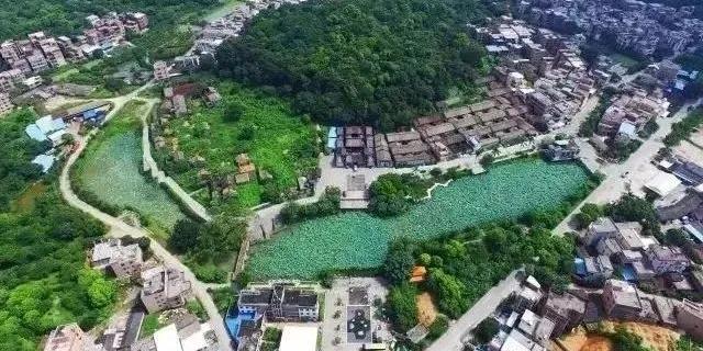 竞跑“百千万” 奏响新“粤”章 | “百千万工程”首批典型村巡礼(十四) : 广州黄埔篇(1)