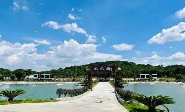 竞跑“百千万” 奏响新“粤”章 | “百千万工程”首批典型村巡礼(十八) : 广州白云篇(3)