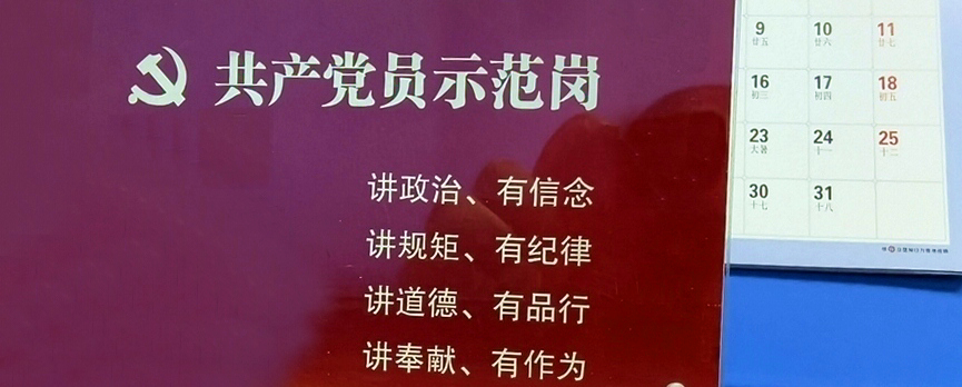 深学细悟建党思想 筑牢项目攻坚红色根基 —— 南教院临时党支部专题学习习近平党建思想