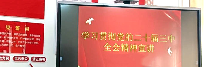 南教院临时党支部专题学习党的二十届三中全会精神